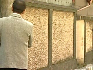 japanese mature 